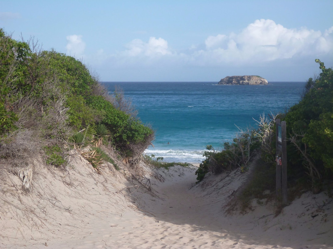 Salines旅游攻略图片