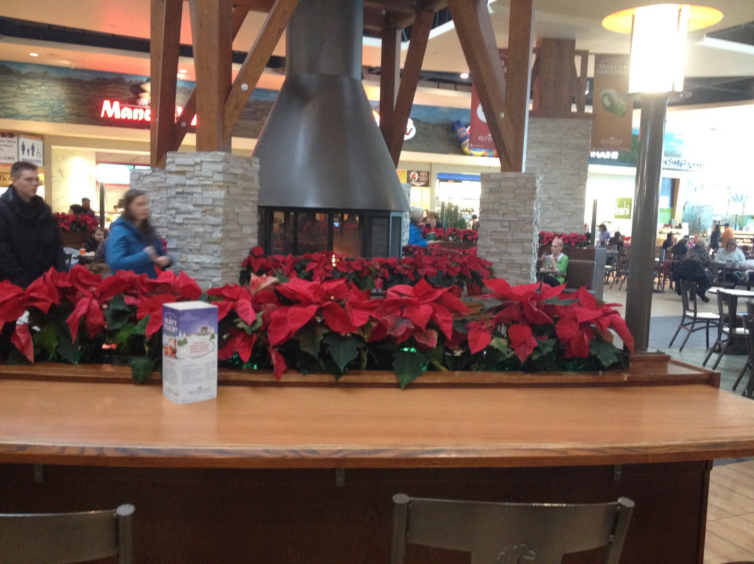 Bower Place Shopping Centre-红鹿市必去景点