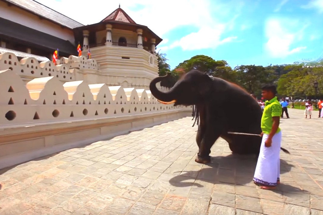 Seerendipity Tours and Travels - Day Tours-Panadura必去景点