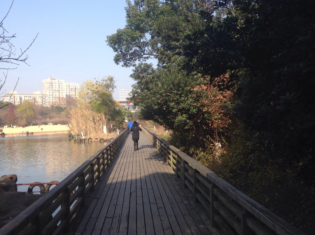 青枫公园-常州市必去景点