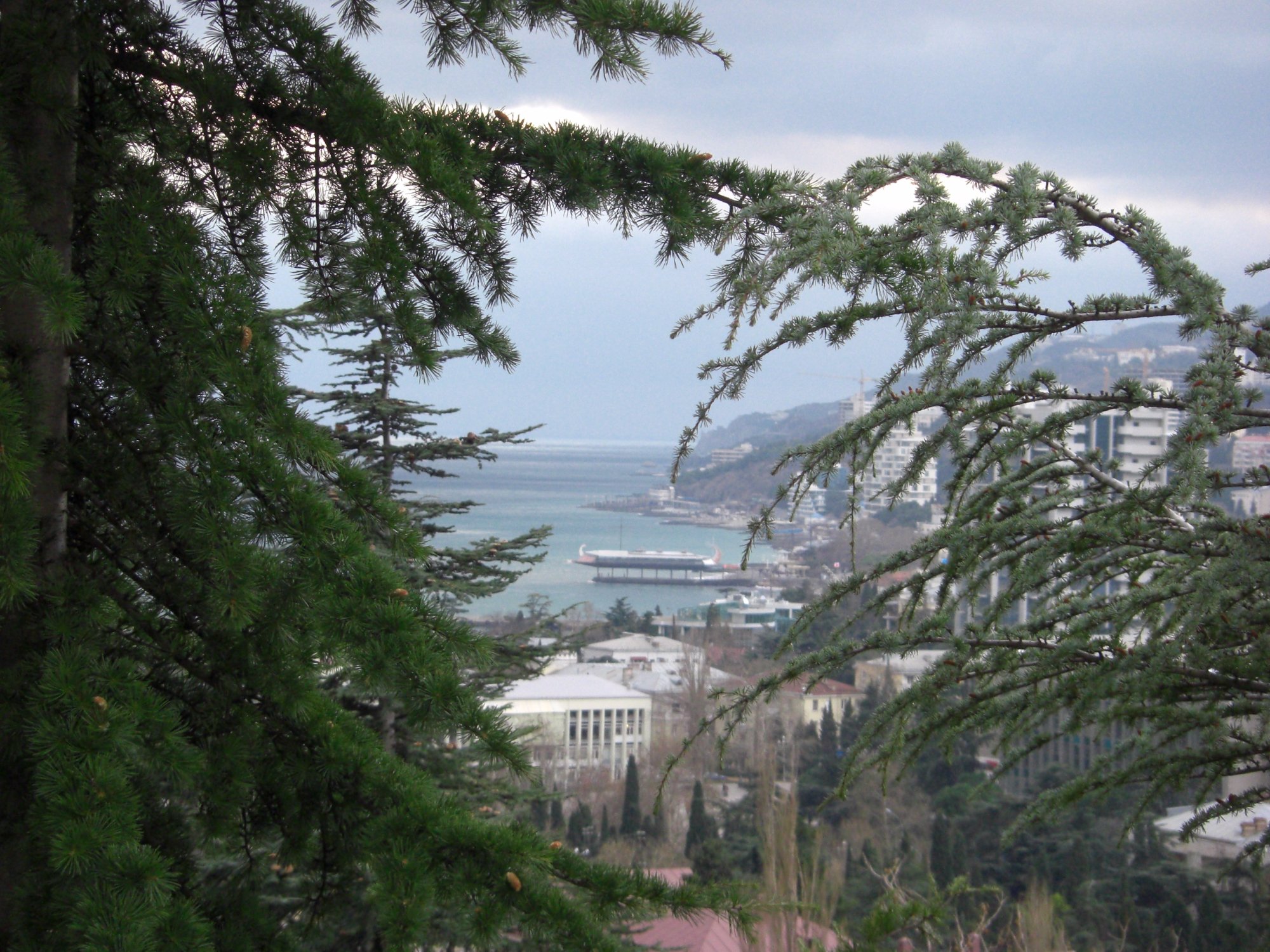 Pansionat Yaltinskiy-酒店景观