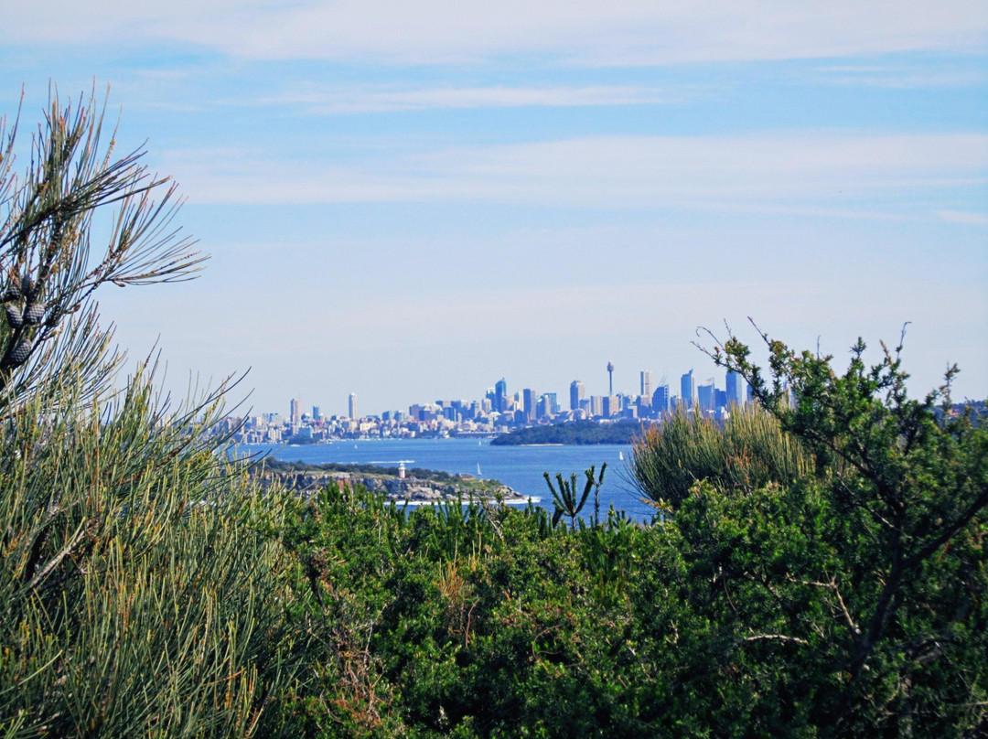 悉尼湾国家公园景点图片