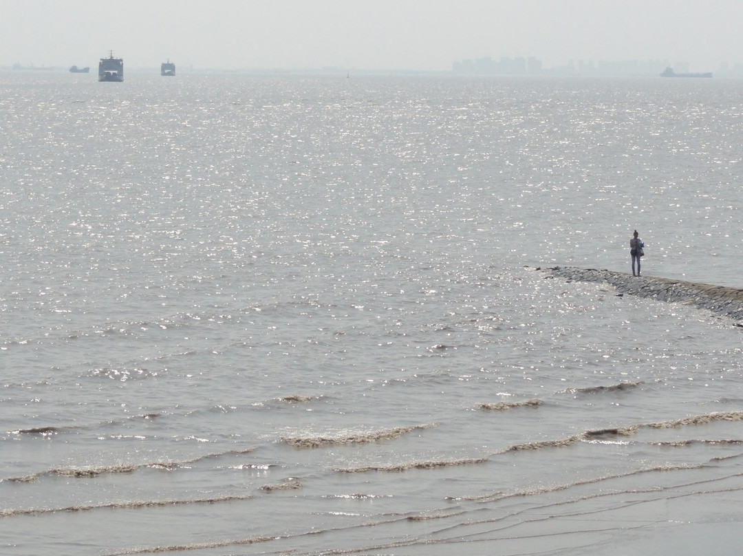 南门沿江景观大堤-崇明县必去景点
