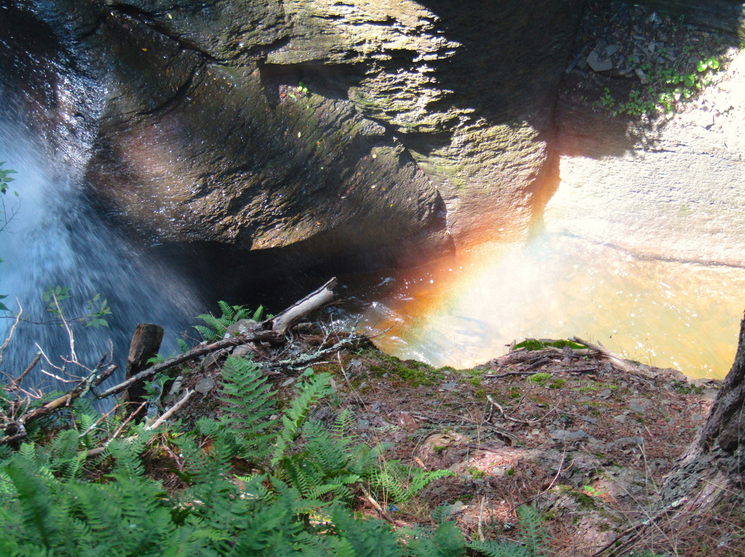 Mine Kill State Park-North Blenheim必去景点