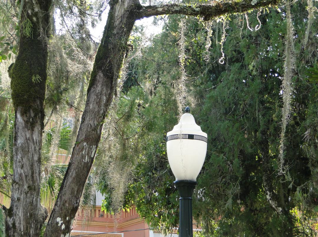 Praca Coronel Macedo景点图片