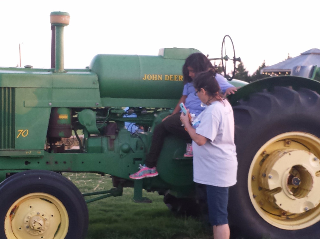 At'l Do Farms Corn Maze-拉伯克县必去景点