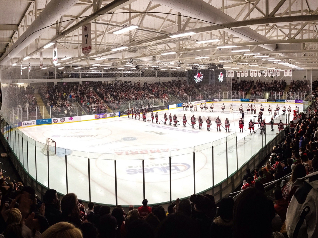 Vindico Arena-卡迪夫必去景点