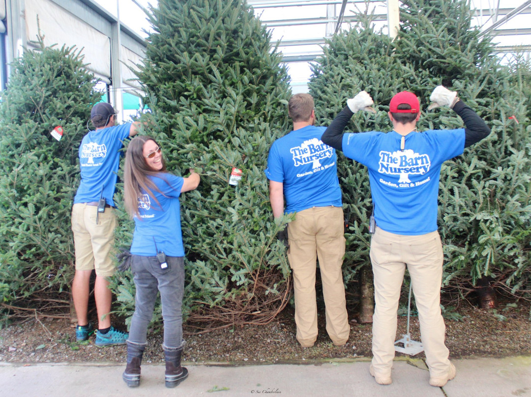 The Barn Nursery-查塔努加必去景点