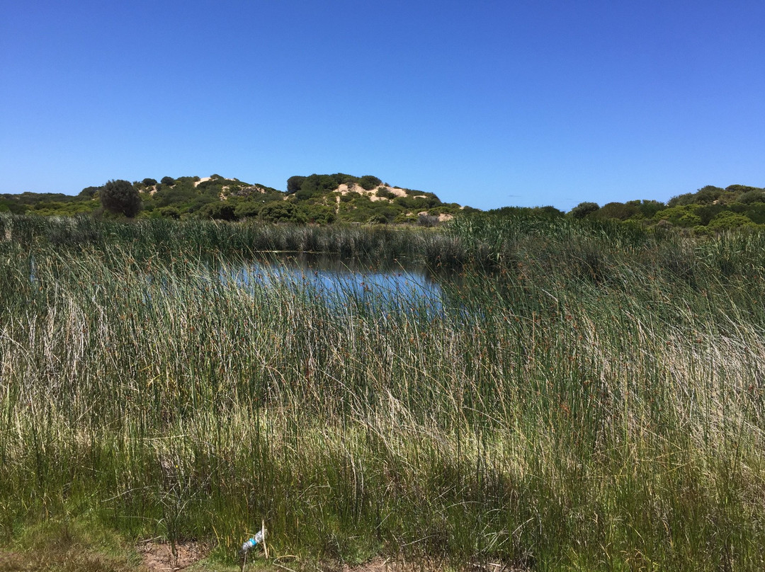 Torquay Foreshore Play Park-托基必去景点