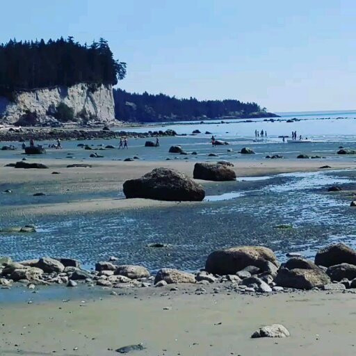 Secret Cove Sail Tours-Halfmoon Bay必去景点