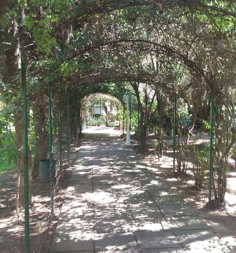 Parque Zoologico De San Luis Potosi景点图片