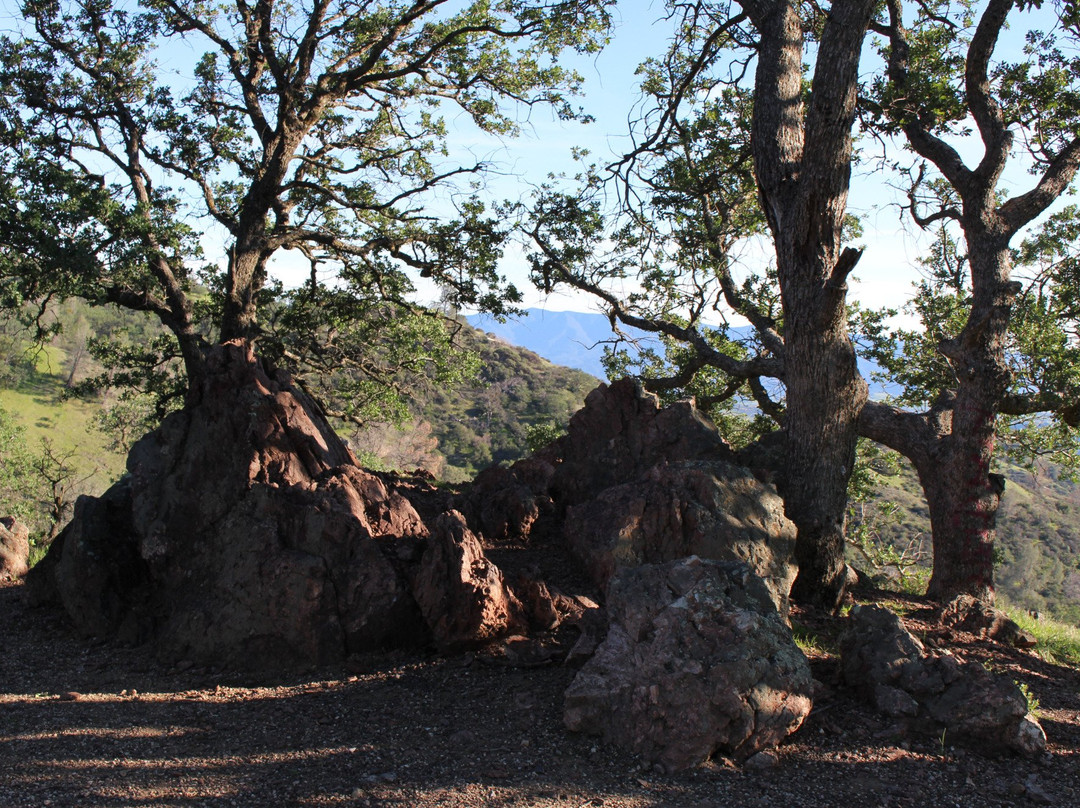 Foxen Canyon Wine Trail-圣玛丽亚必去景点