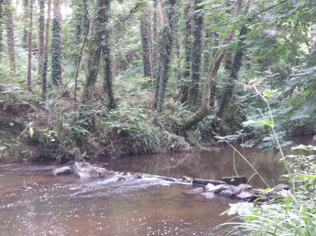 Courtown Woods-Gorey必去景点