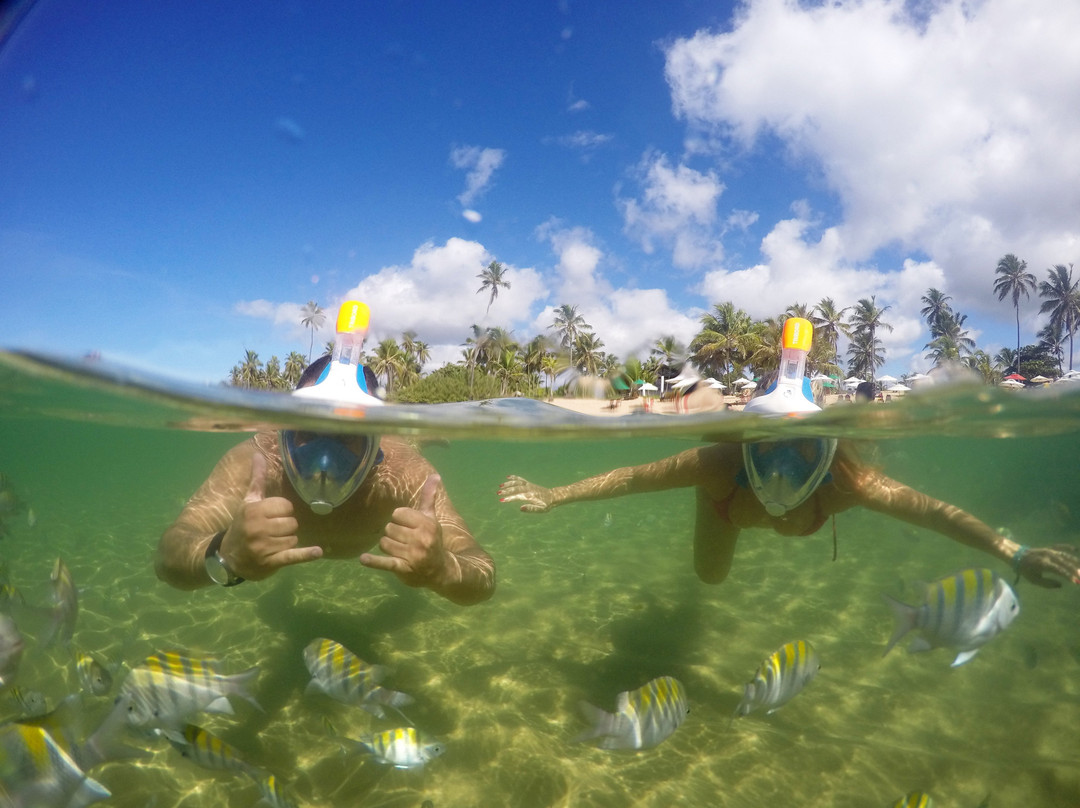 Mergulho Easy-普拉亚多海滩必去景点