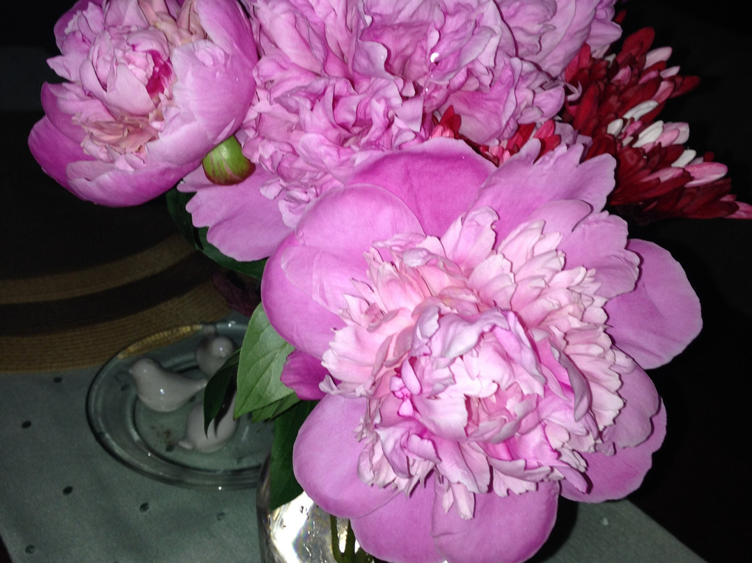 Murphy House 1895主图