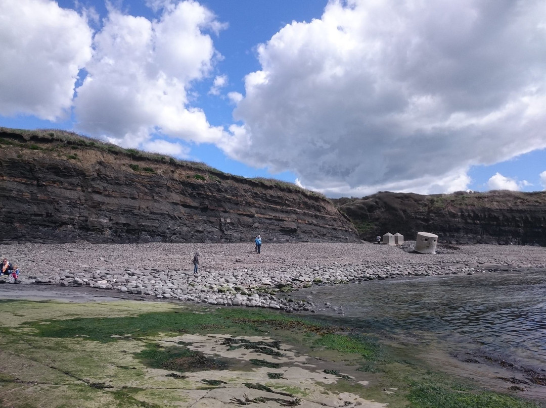 Kimmeridge Bay景点图片
