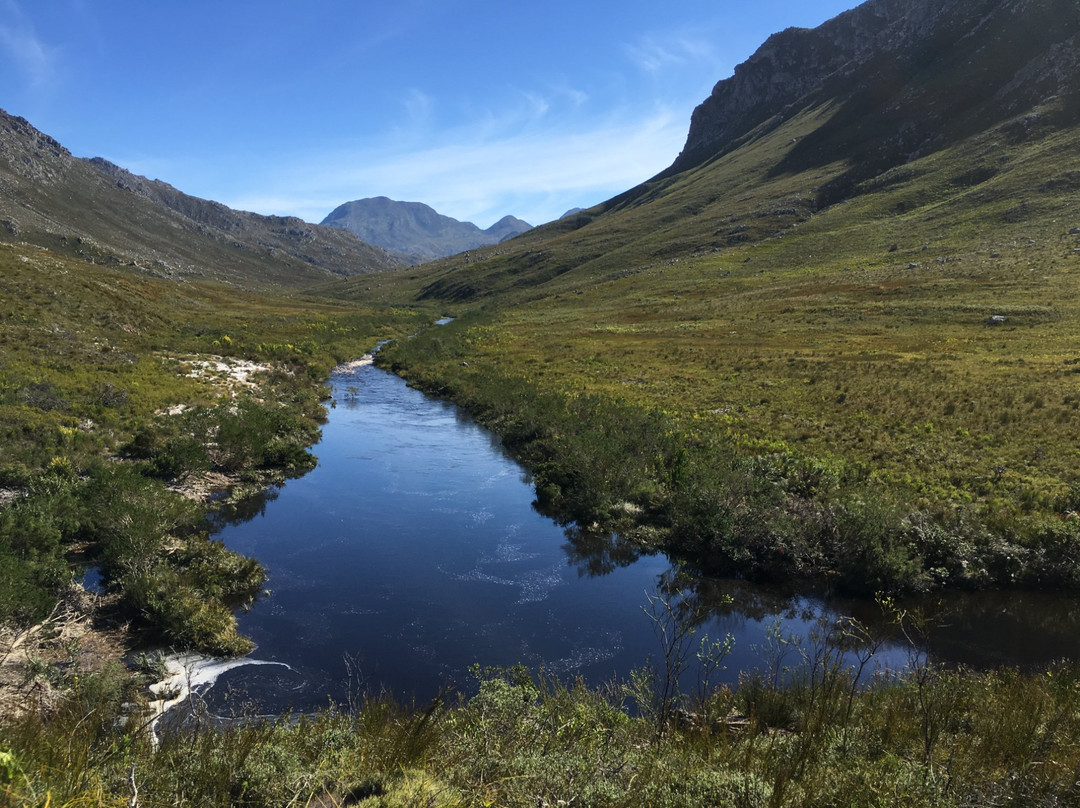 Kogelberg Nature Reserve-开普敦必去景点
