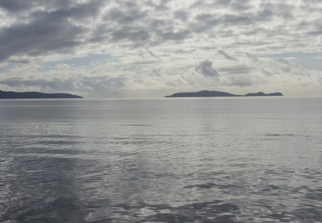 Wonga Beach-Wonga Beach必去景点