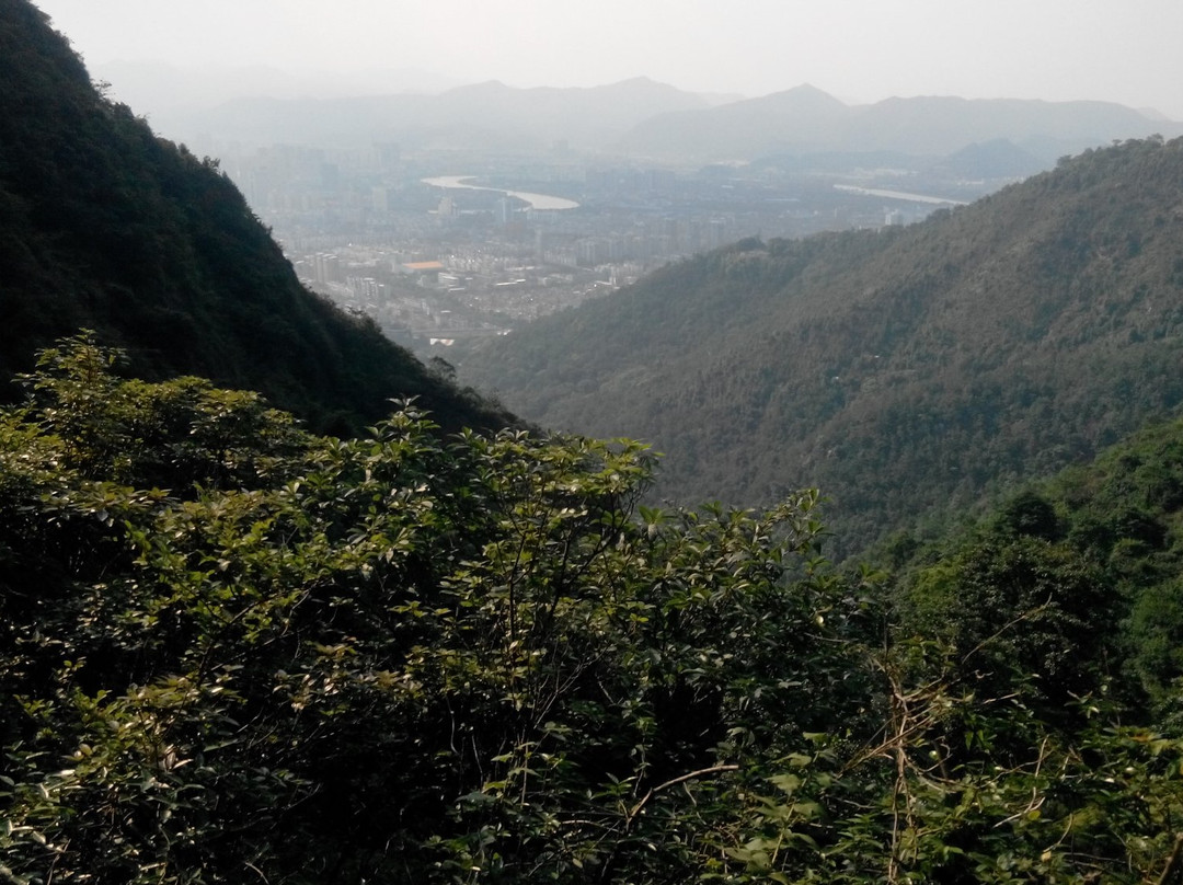 黄岩九峰公园景点图片