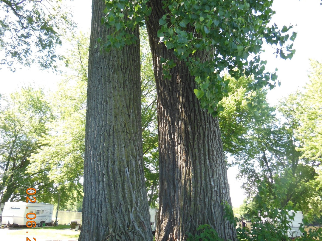 Crow Valley Campground-Sterling必去景点