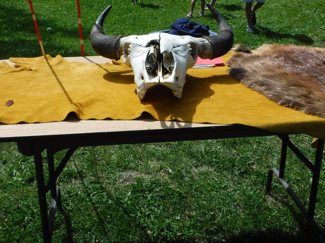 Pigeon Lake Provincial Park-韦塔斯基温必去景点