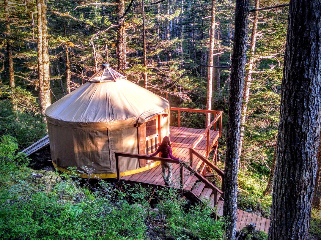 Shearwater Cove
