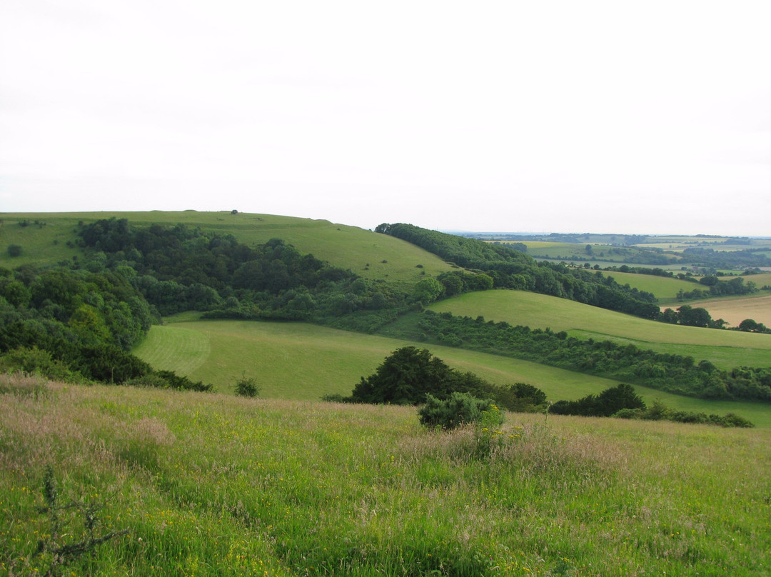 Old Winchester Hill景点图片