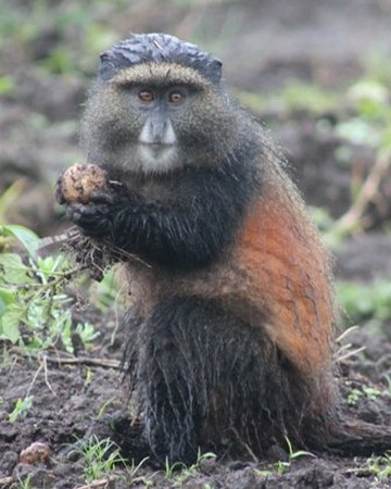 Nature Trails East Africa