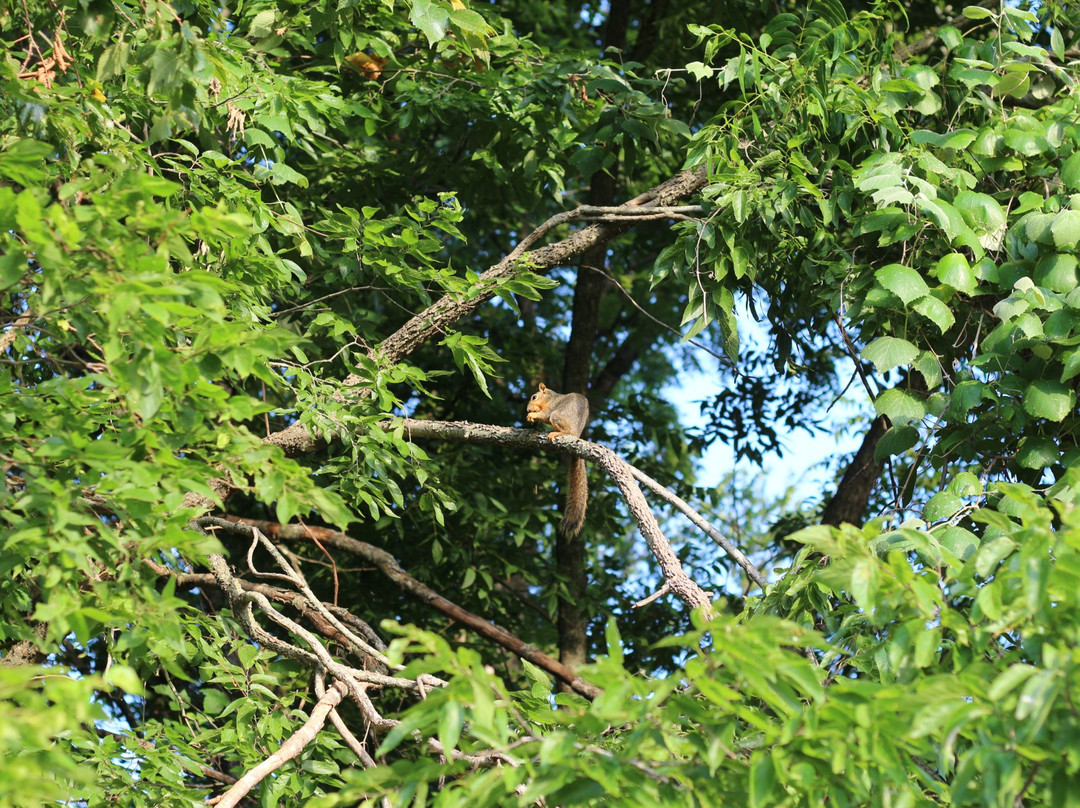Oak Point Park & Nature Preserve-普莱诺必去景点