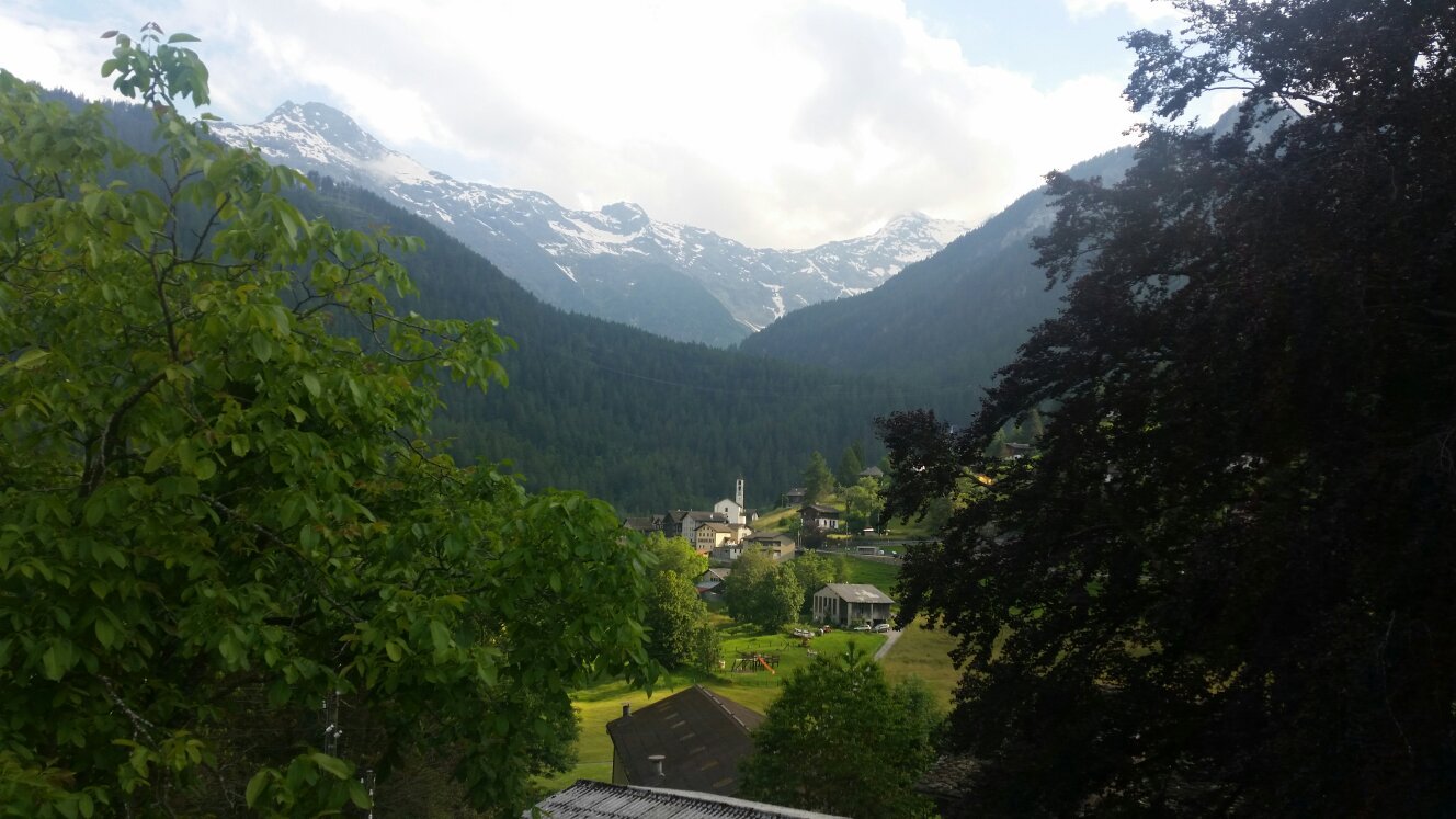 Hotel Des Alpes-官方