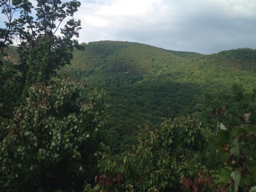 Fort Mountain Stables-Chatsworth必去景点