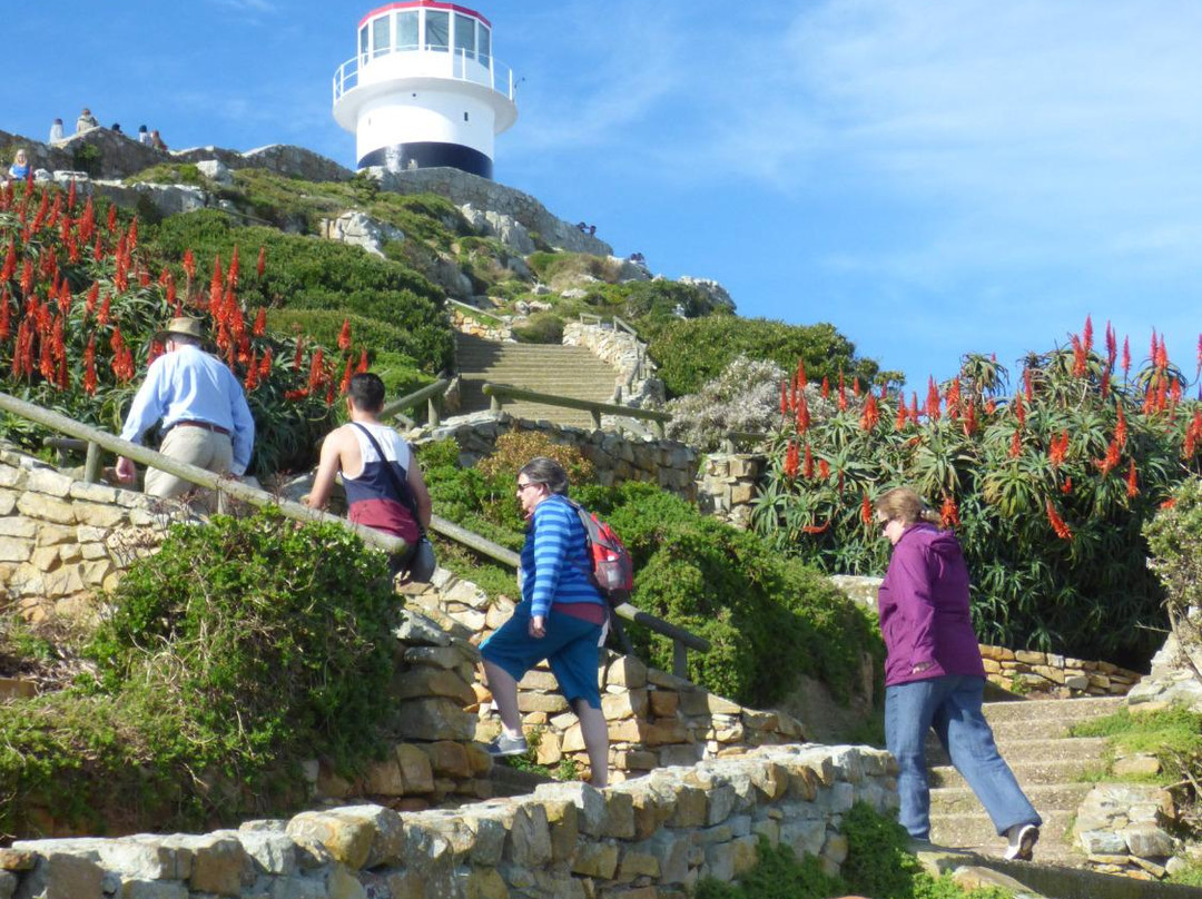Cape Fun Tours-西门镇必去景点