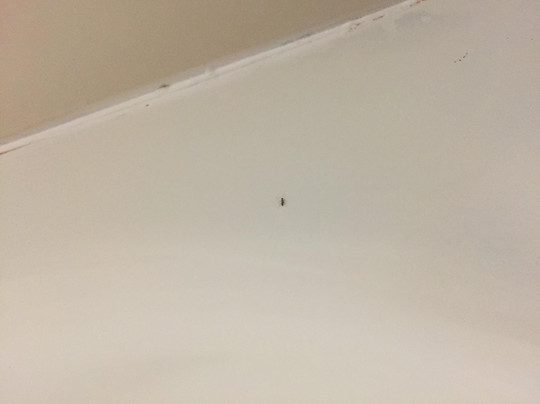 Priceville酒店住宿-Spark by Hilton Decatur