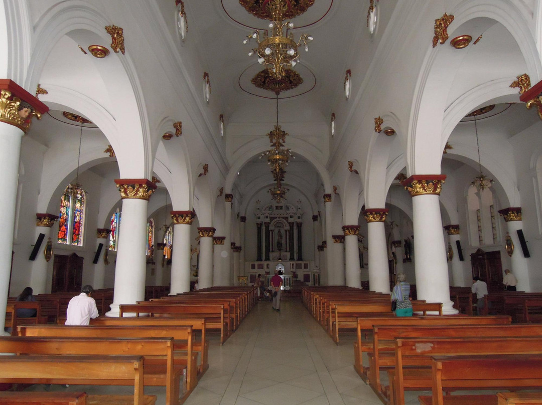 Catedral Primada de Ibague-Ibague必去景点