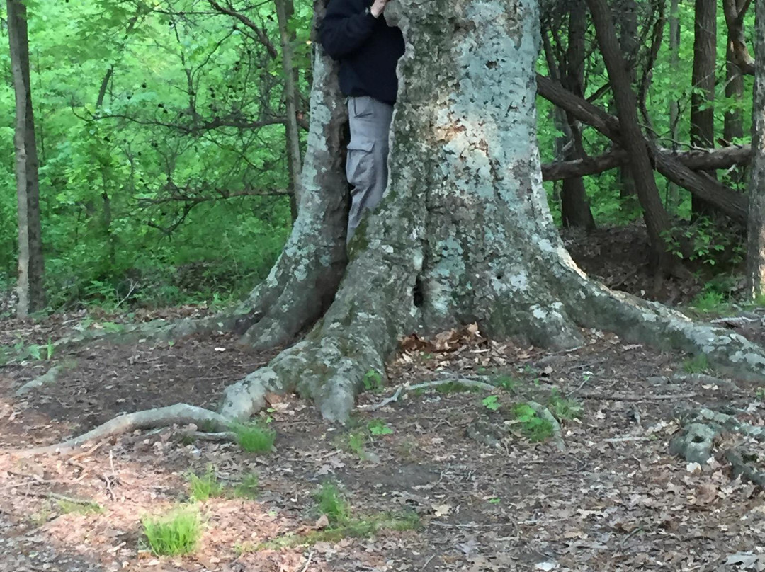 Morgan-Monroe State Forest-Martinsville必去景点