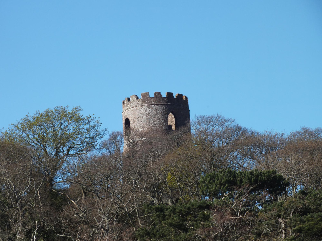 Conygar Tower景点图片