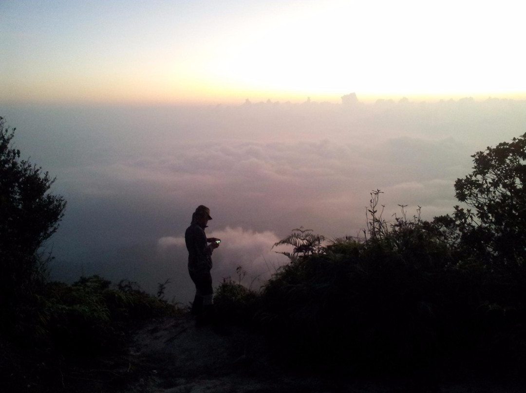 Mount Tahan景点图片