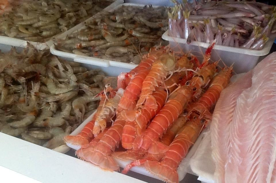 Mercado Municipal de Peixes景点图片