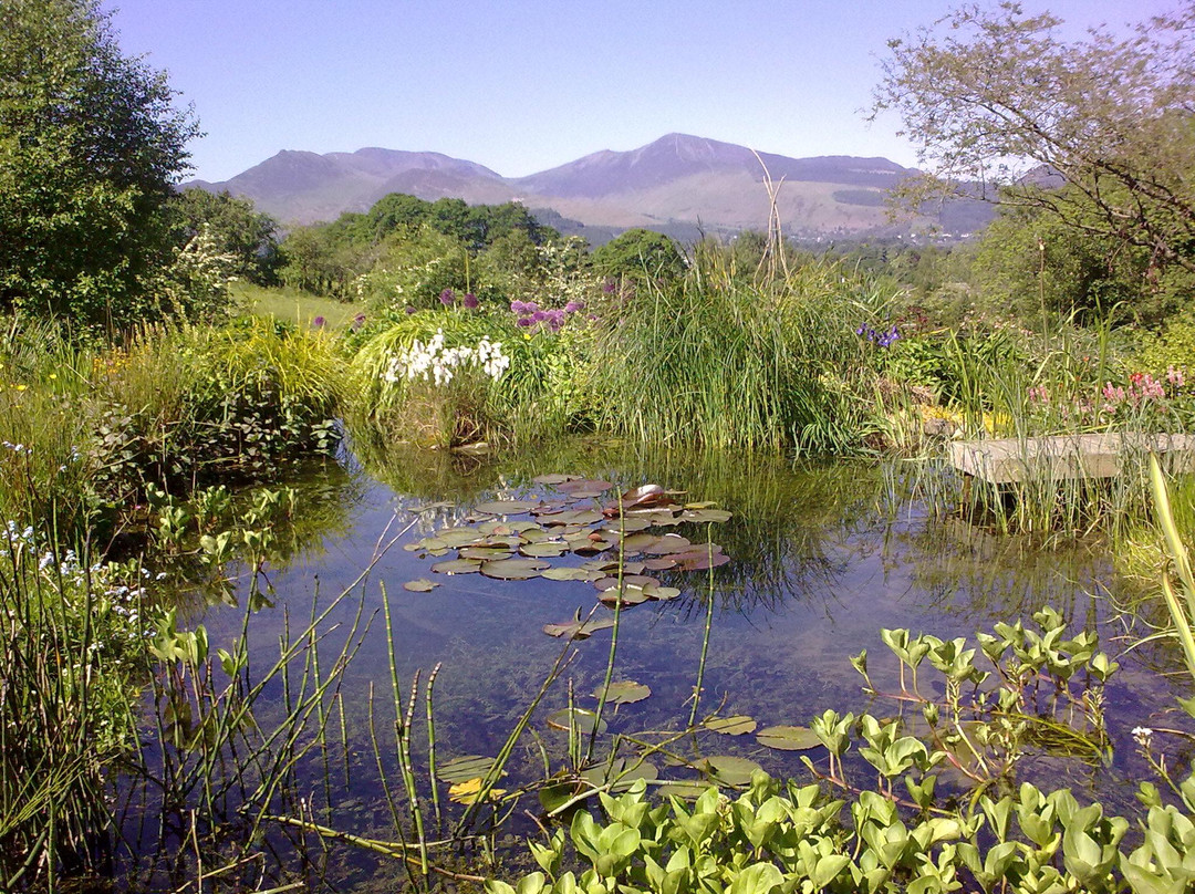 The Lookout Keswick主图