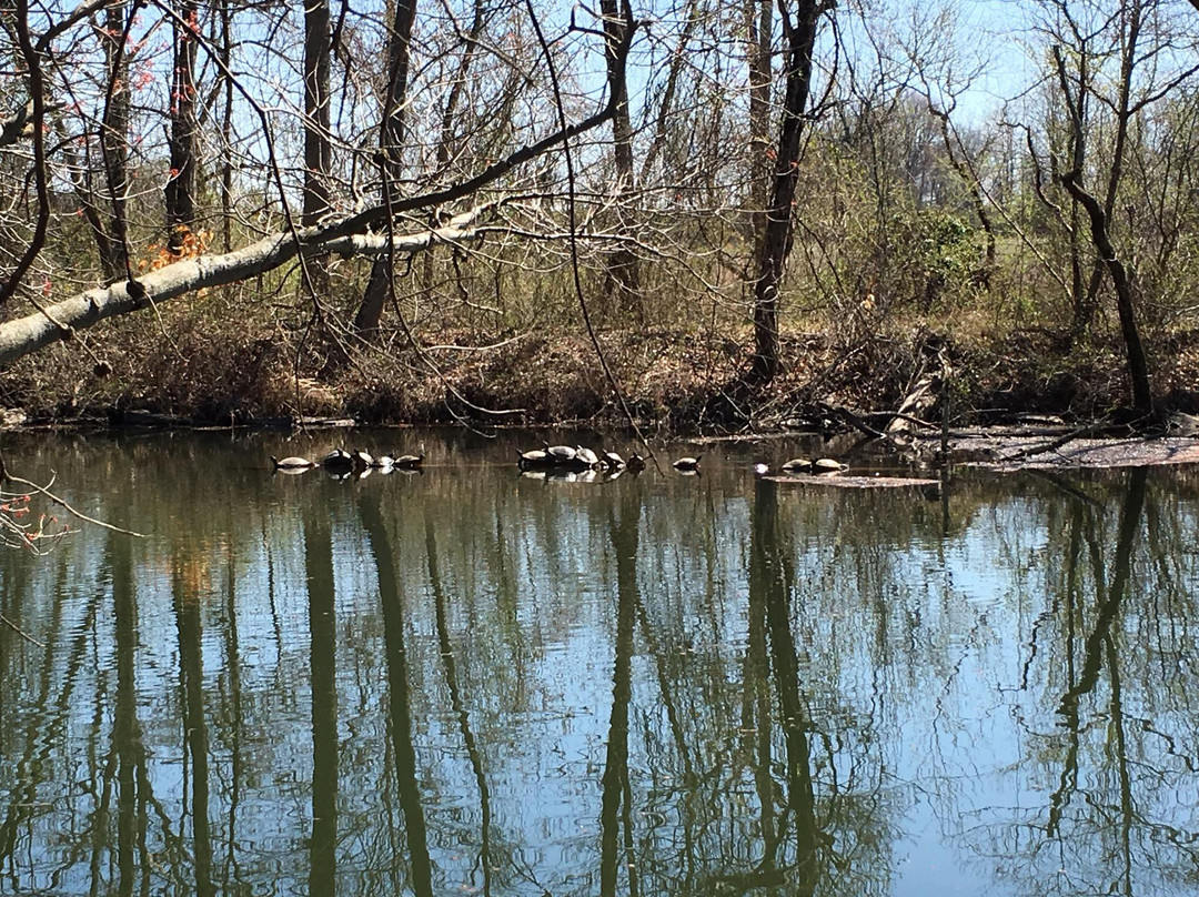 Delaware and Raritan Canal State Park-South Bound Brook必去景点