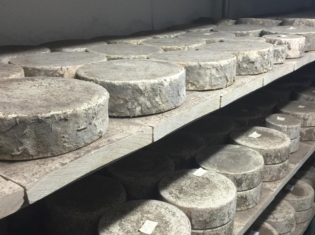Smarts Gloucester Cheese景点图片