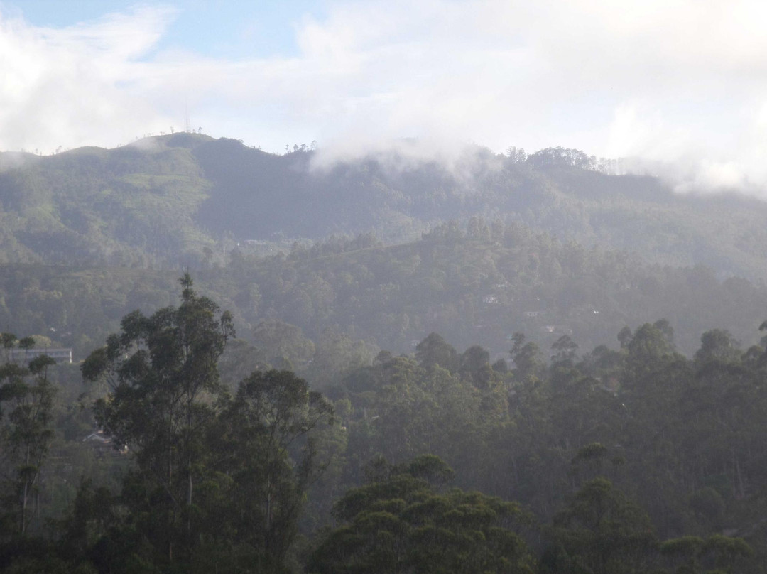 Peak Mount Villa主图