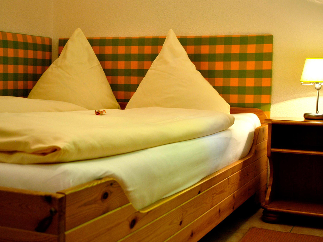 Hotel-Restaurant Brunnenhof主图