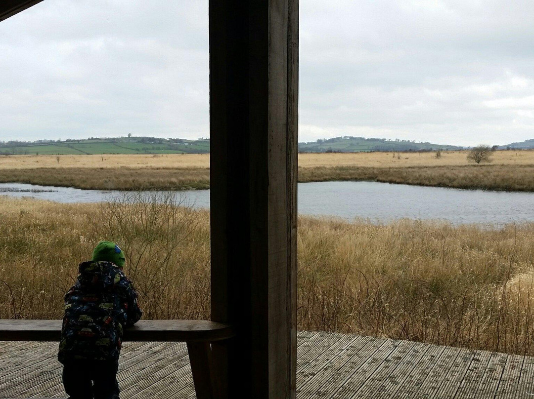 Cors Caron-Tregaron必去景点