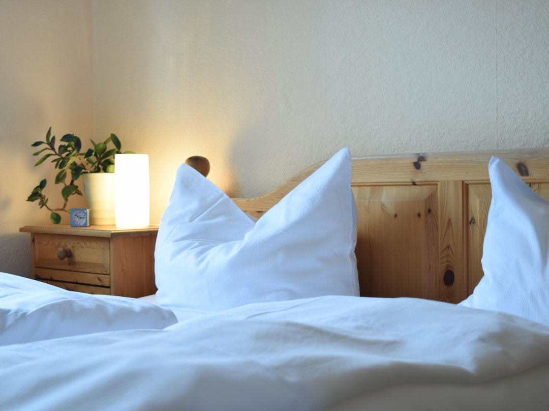 Hotel Gasthof Noeth主图