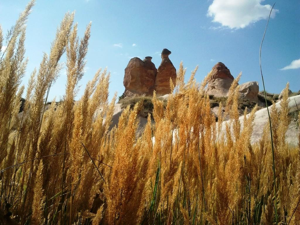 Cappadocia Activities-卡帕多奇亚必去景点