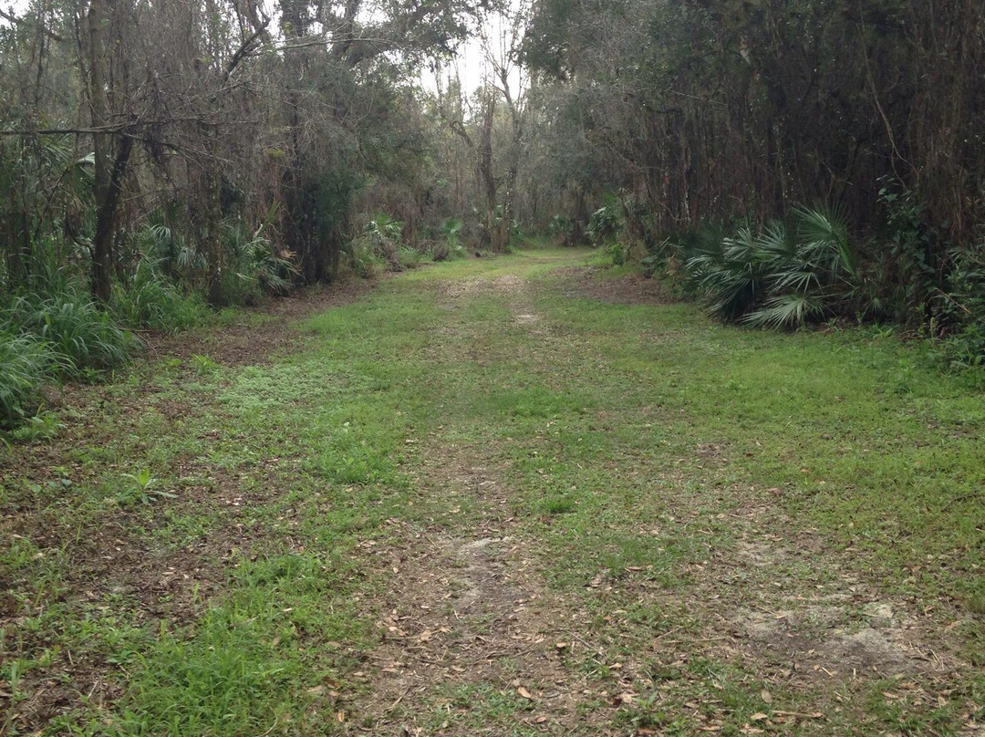 Morgan Park-阿卡迪亚必去景点