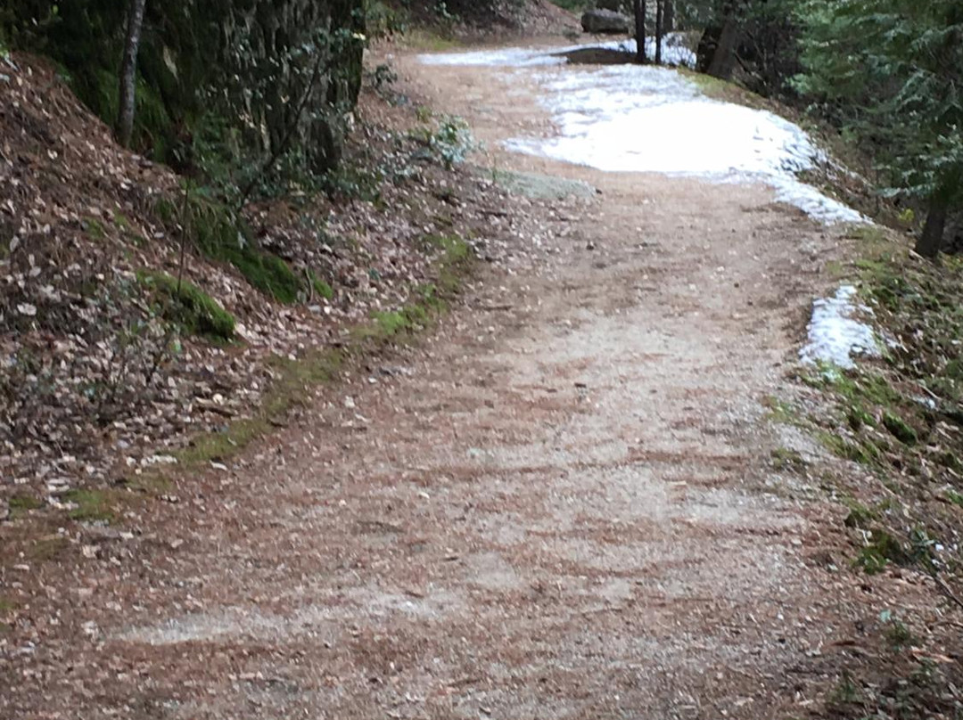 Brandy Creek Falls-Whiskeytown必去景点