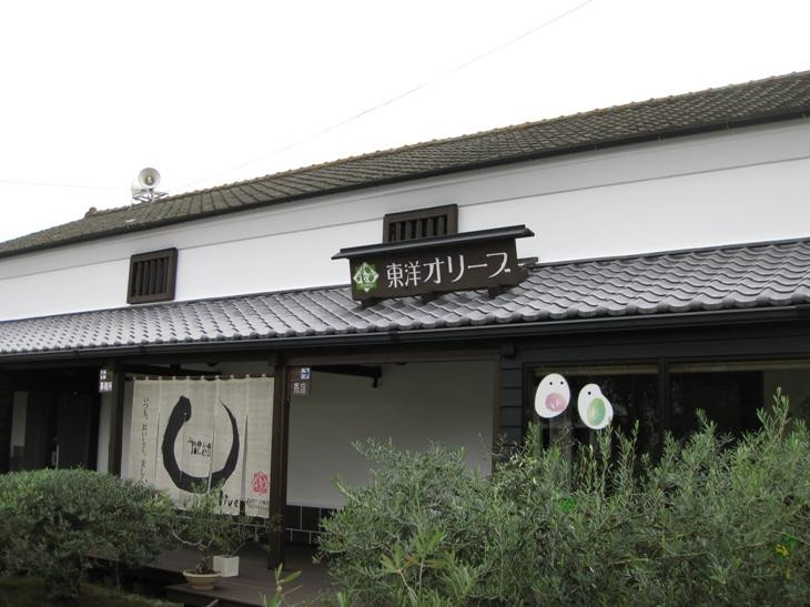 Toyo Olive景点图片