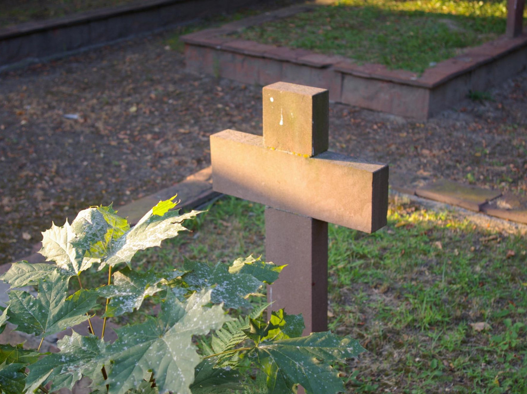 Cathedral Cemetery-Sandomierz必去景点